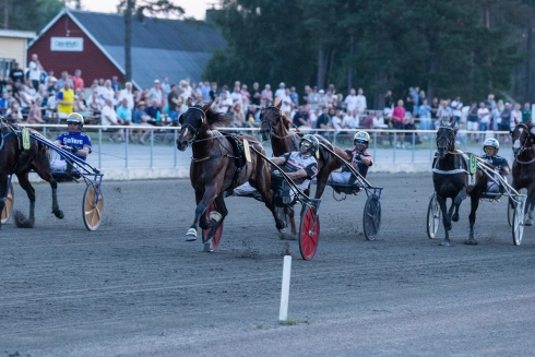 Foto av Jesper Hammarlund, TR Bild